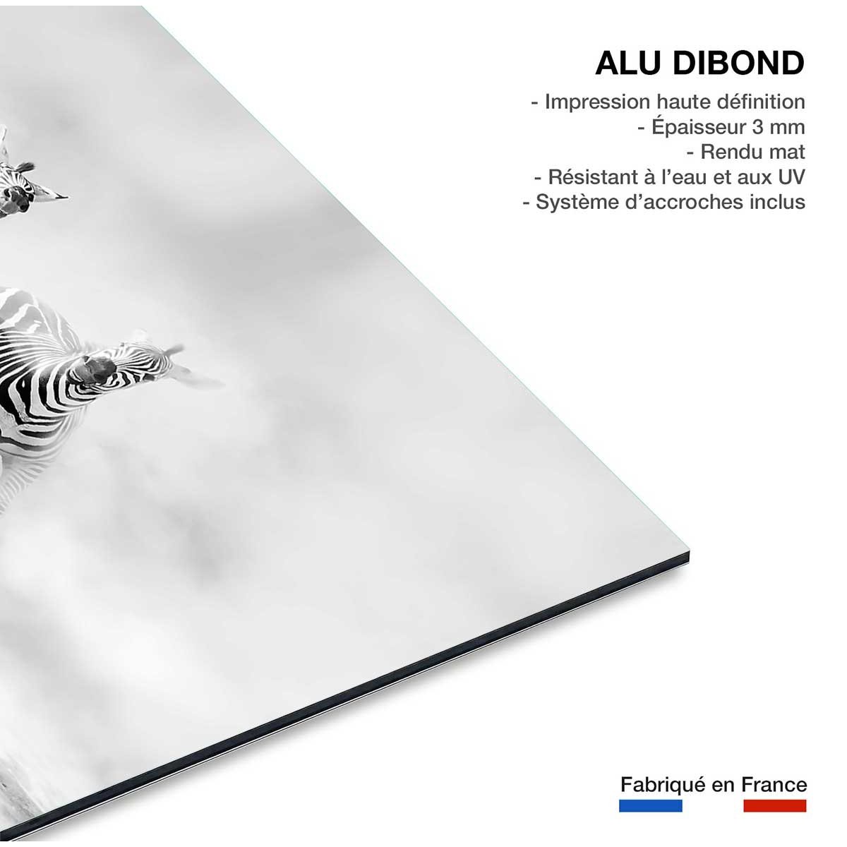 Tableau animaux racing stripes tableau alu dibond, HEXOA
