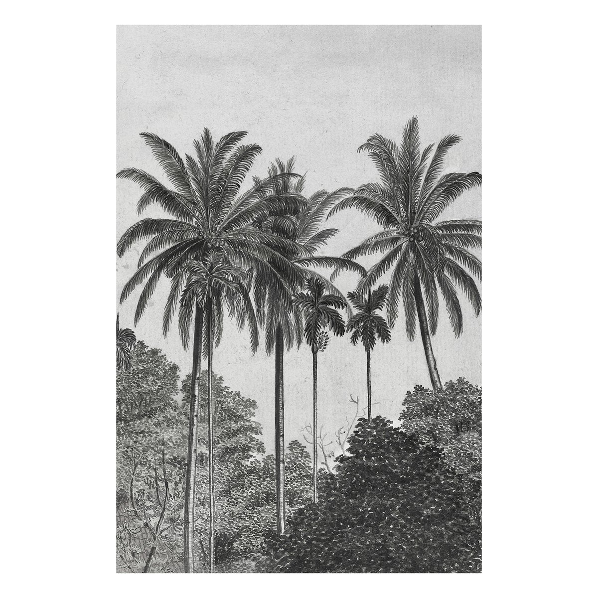 Papier peint panoramique Palmiers gris noir, ART FOR THE HOME