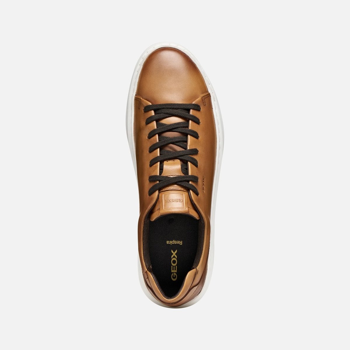 Baskets  U DEIVEN marron clair, GEOX