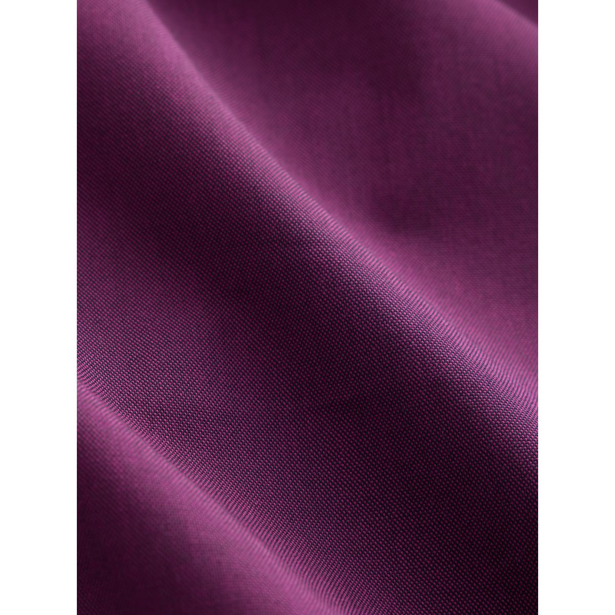 Chemise oxford standard boutonnée violet, NEXT