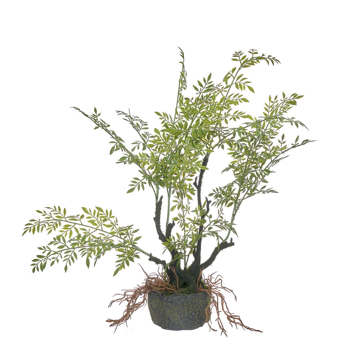 Planta artificial feto com base musgo, BORGHESI verde, BORGHESI
