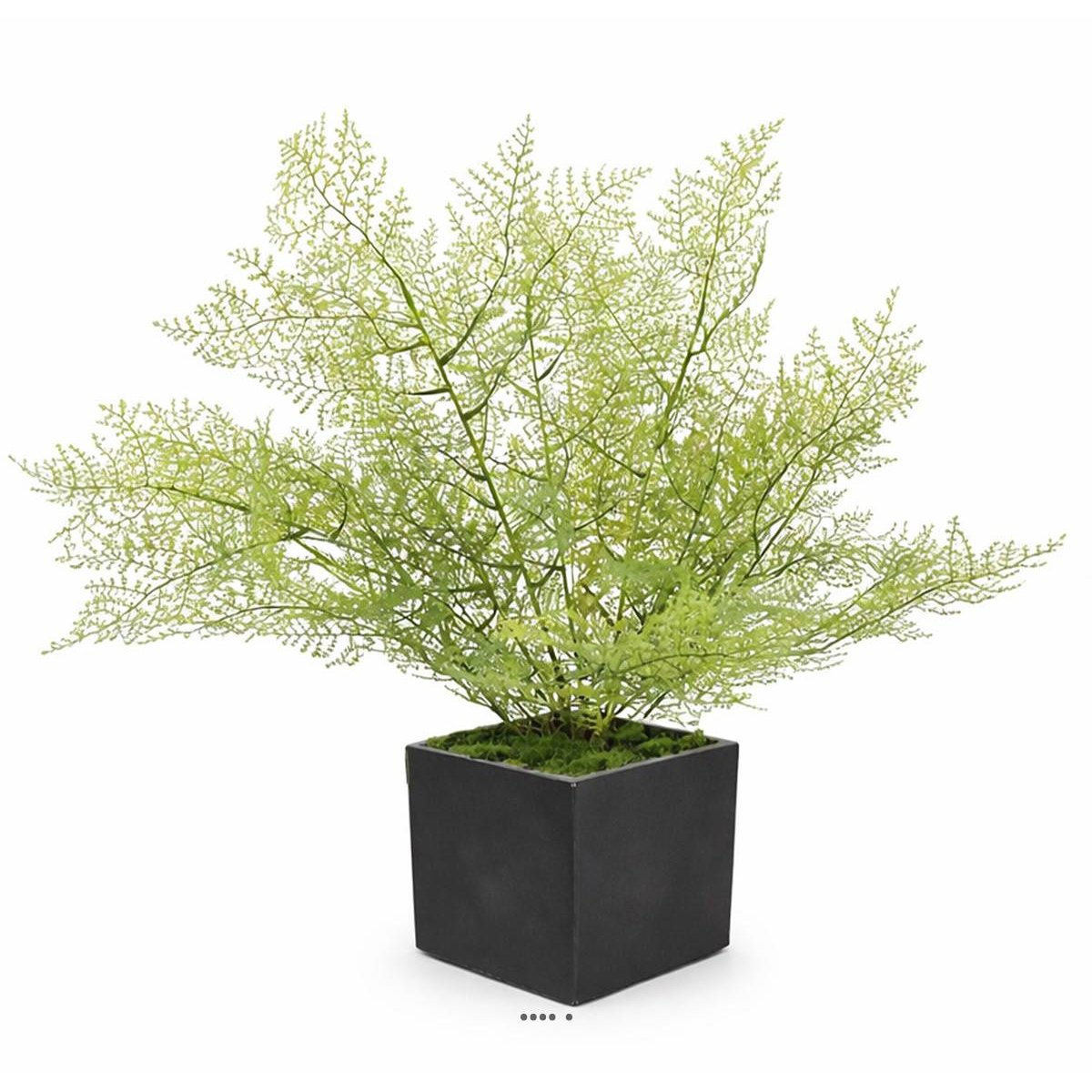 Asparagus artificiel en piquet 50 cm v002239, ARTIFICIELLES