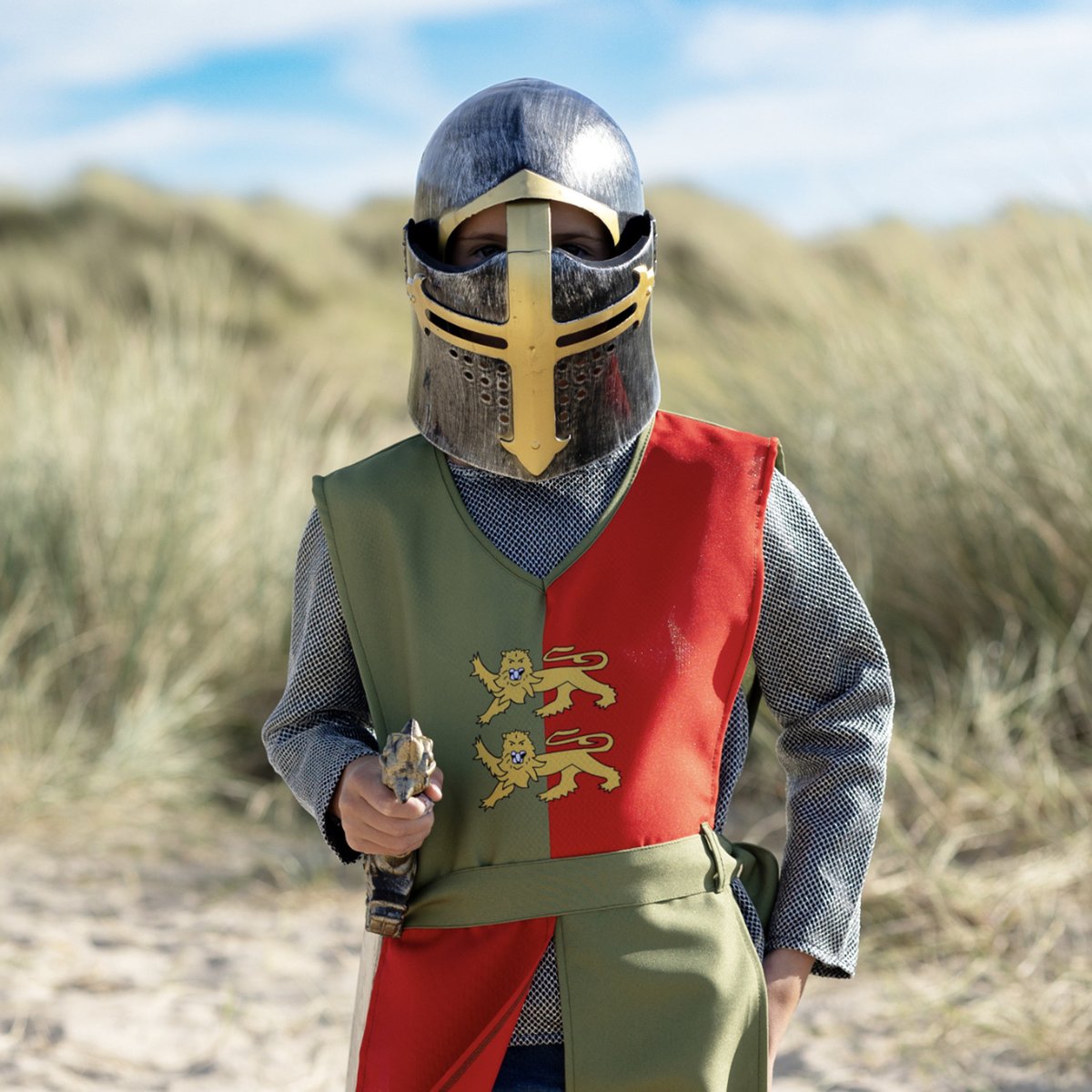 Accessoires déguisement Armure de chevalier gris, SEVIRA KIDS