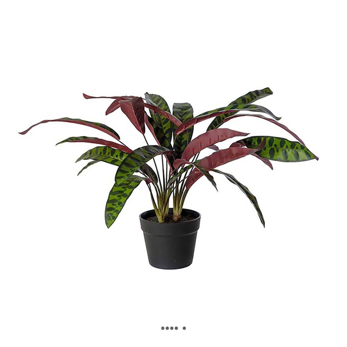 Calathea artificiel en pot H 60 cm D 65 cm v002239, ARTIFICIELLES