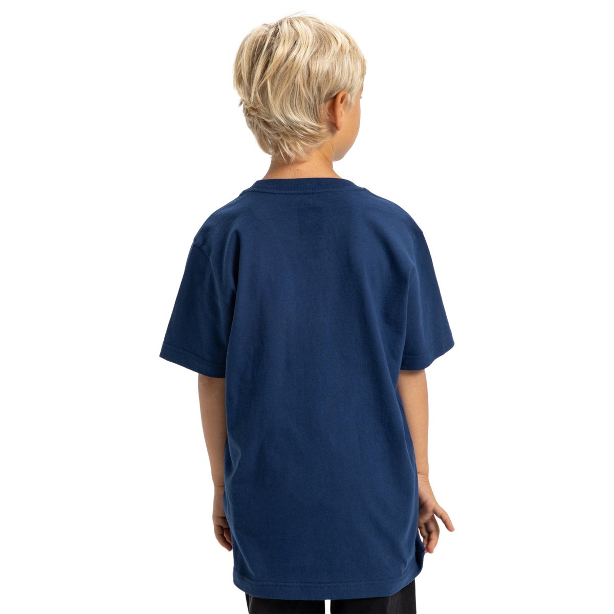 T-shirt à manches courtes SUBSTITUTE. bleu estate blue, DC SHOES