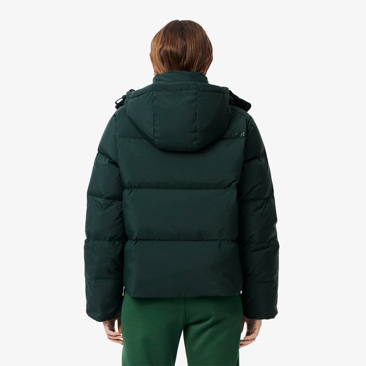 Doudoune à capuche relaxed fit duvet vert-yzp, LACOSTE