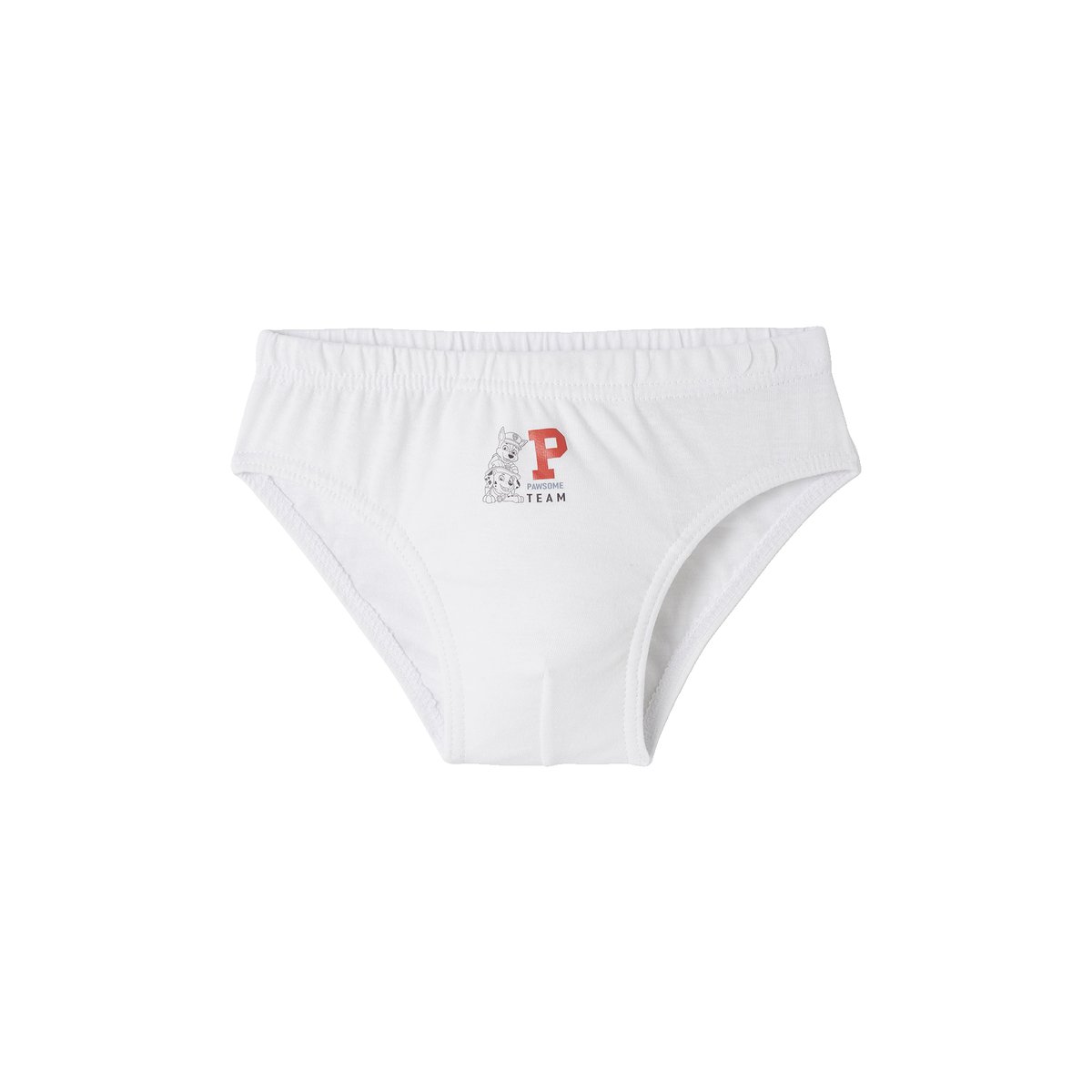 Lot de 3 slips Pat’Patrouille® assortis, VERTBAUDET