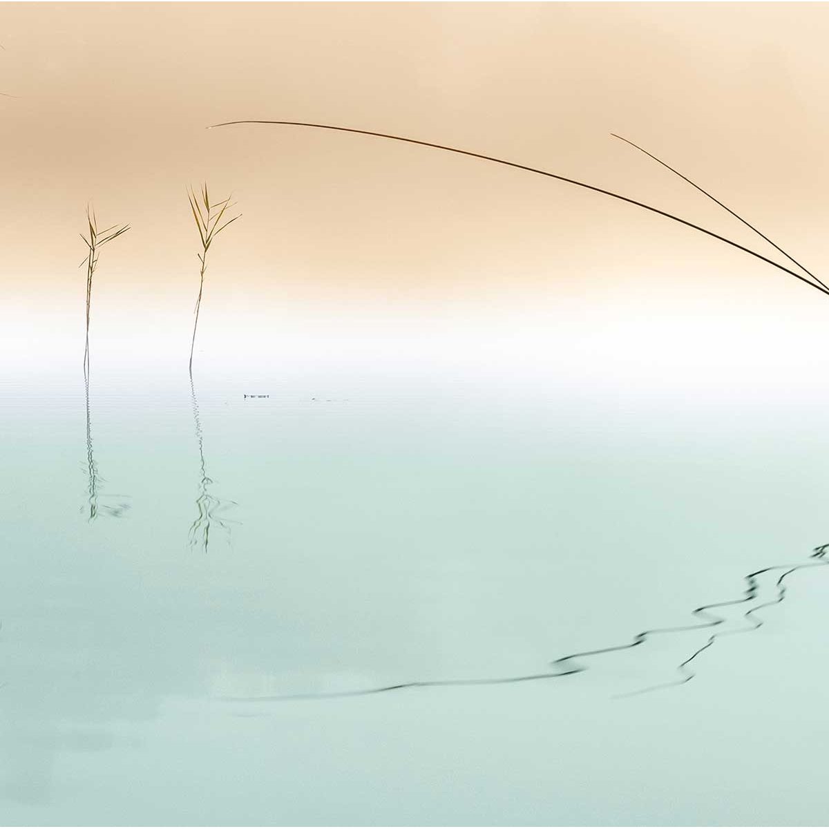 Tableau paysage sur le rocher tableau alu dibond, HEXOA