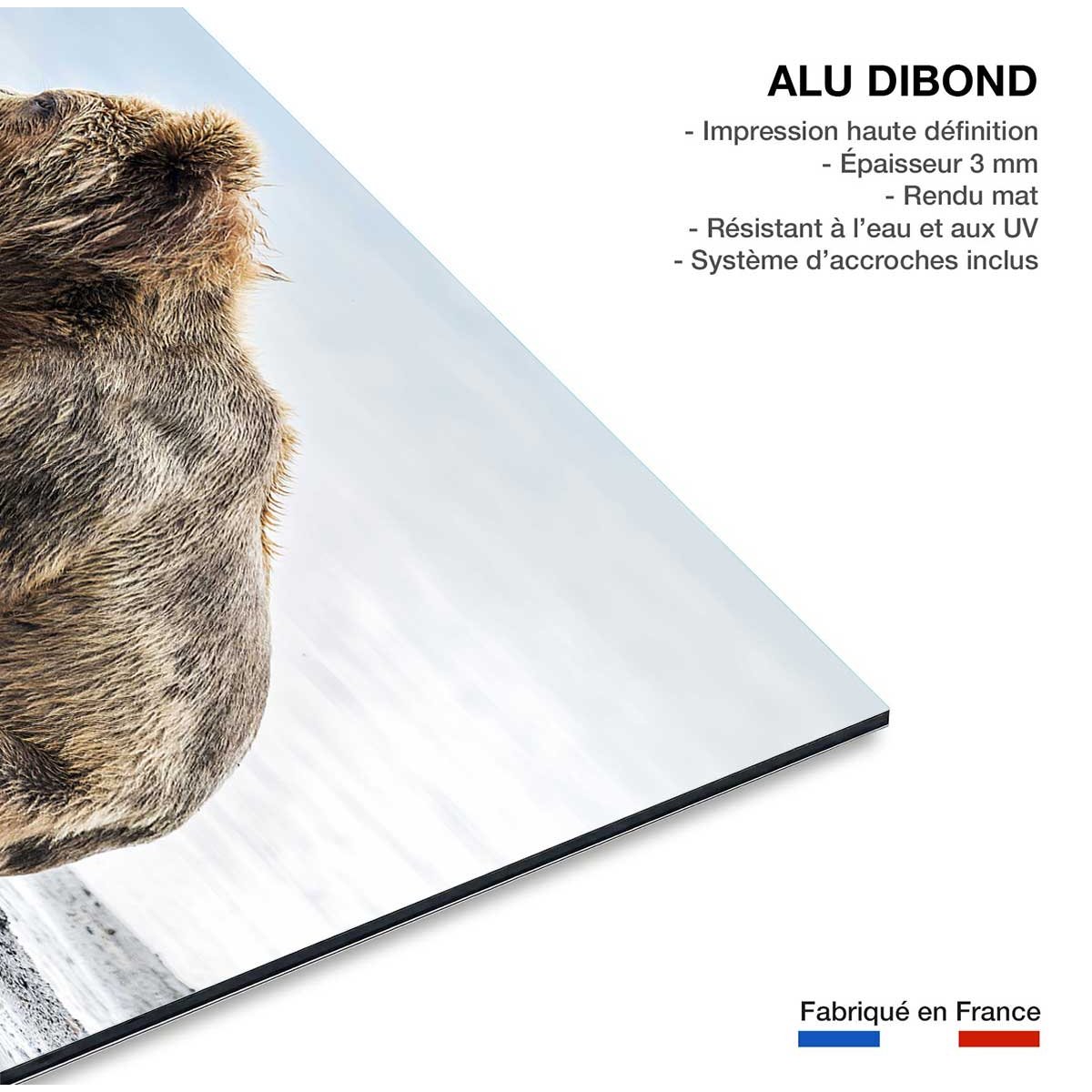 Tableau animaux profile Family tableau alu dibond, HEXOA