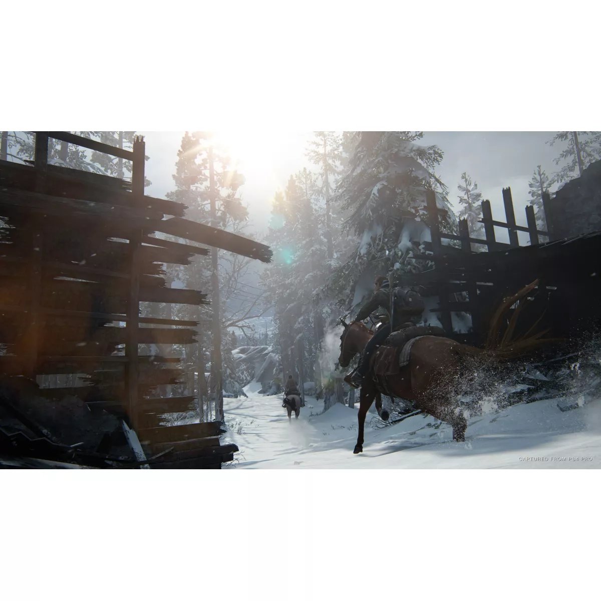 Jeu Ps4 The Last Of Us 2 couleur unique, SONY