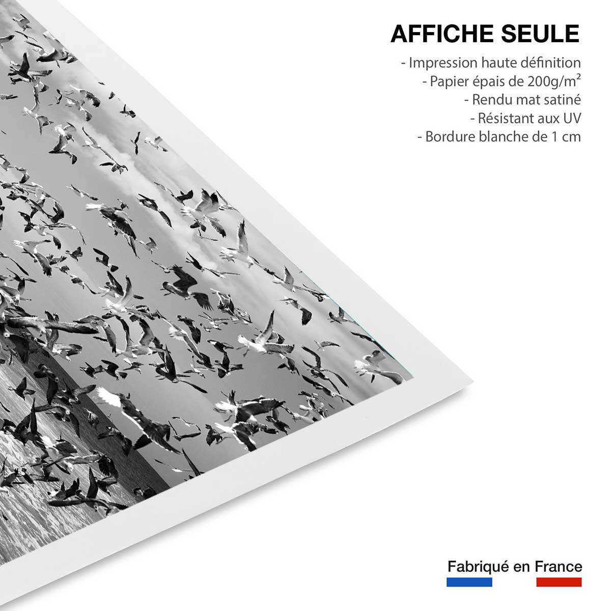 Poster festin de mouettes affiche seule, HEXOA