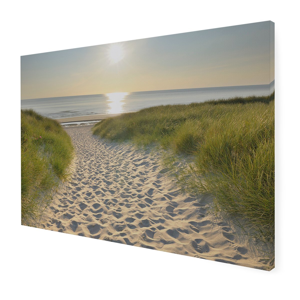 Tableau de jardin Dans les dunes beige, bleu, ART FOR THE HOME