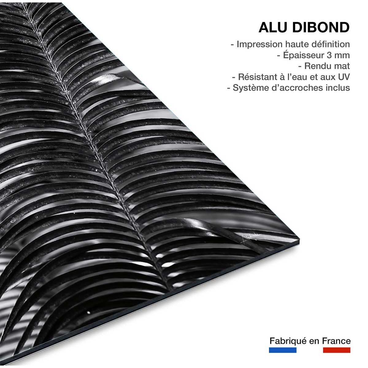 Tableau fleurs Sun palm tableau alu dibond, HEXOA