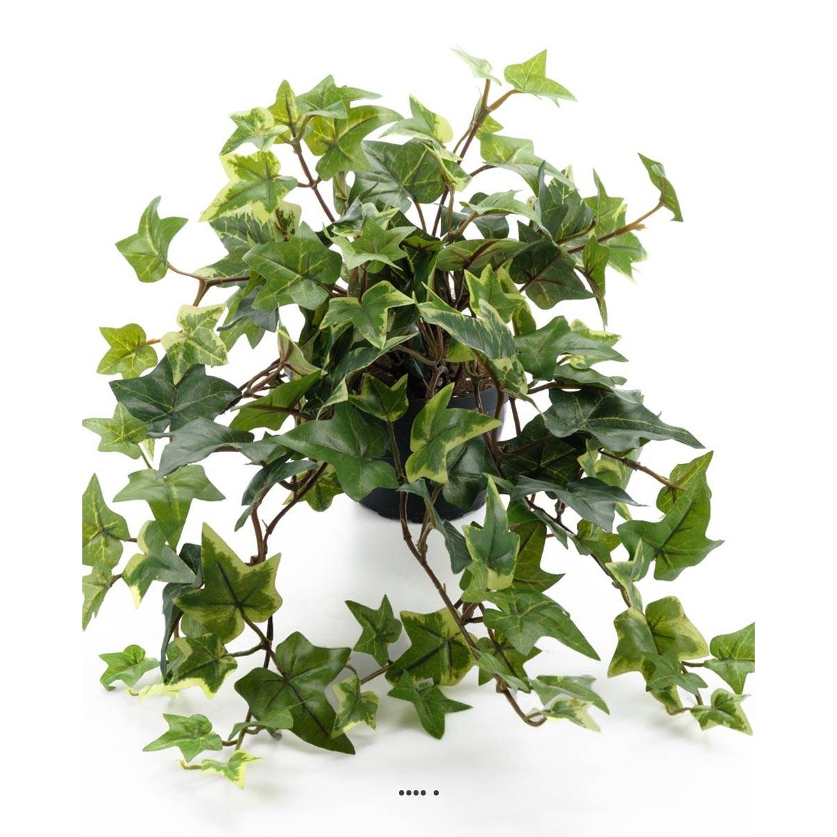 Lierre artificiel panaché retombant en pot, v002239, ARTIFICIELLES