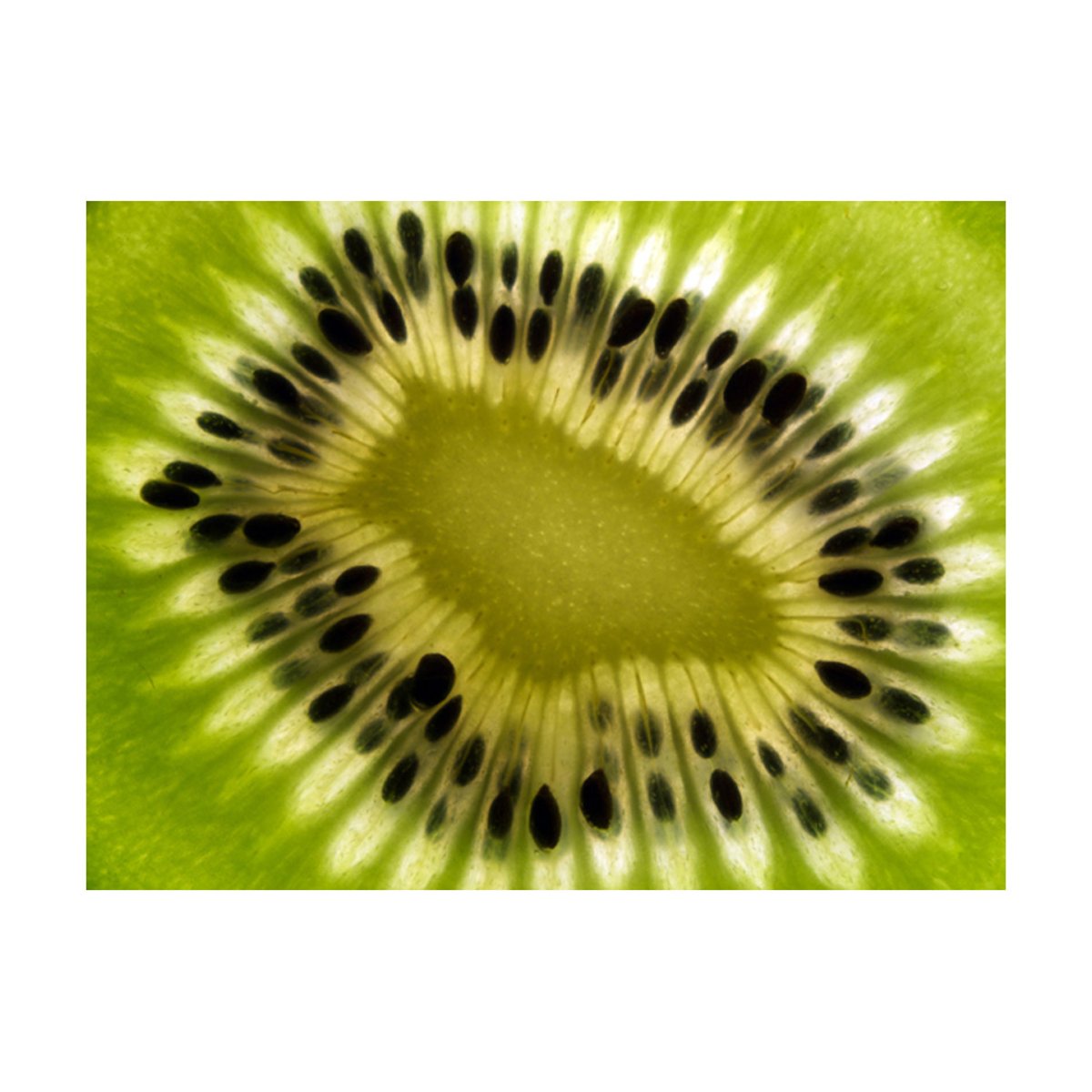 Papier peint intissé panoramique Motifs de cuisine fruits: kiwi noir, EDEN