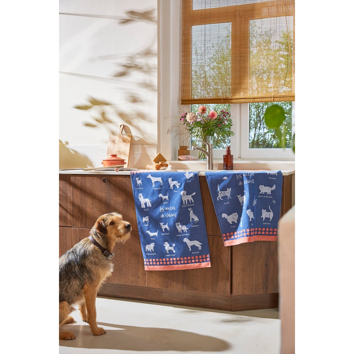 Torchon jacquard en coton LES RACES DE CHIENS bleu foncé, COUCKE