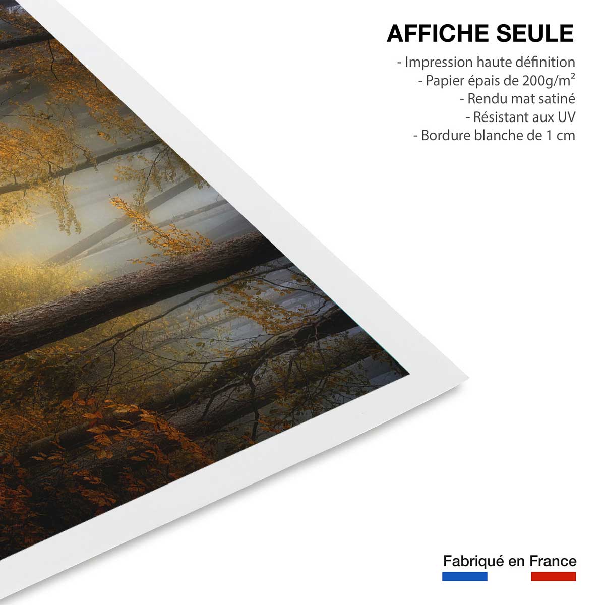 Affiche l'arbre et l'automne rouge affiche seule, HEXOA