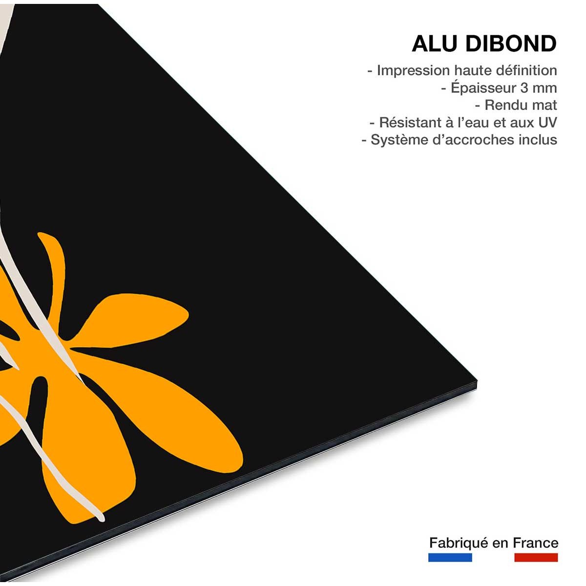 Tableau fleurs colchiques tableau alu dibond, HEXOA