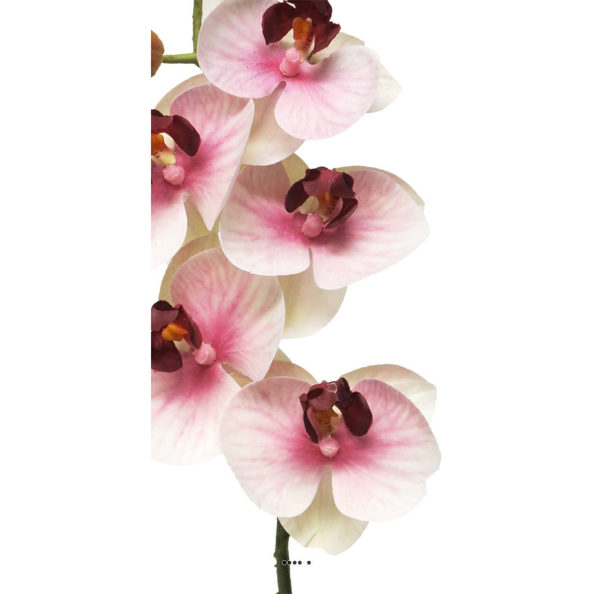 Tige orchidée phalaenopsis Factice 5 fleurons pourpre-blanc, ARTIFICIELLES