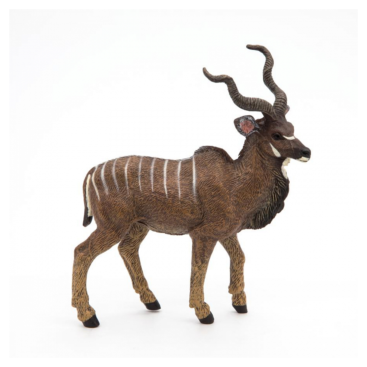 Antilope Koudou marron, PAPO