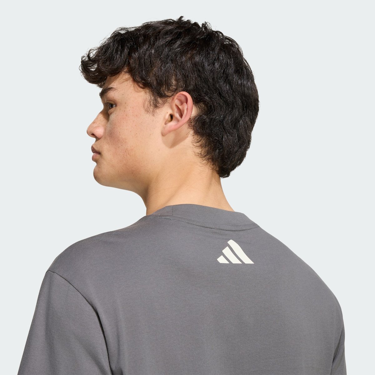 T-Shirt De L’équipe De Formule 1 Mercedes - Amg Petronas Flèches D’argent 03 Hommes granite / off white, adidas Performance