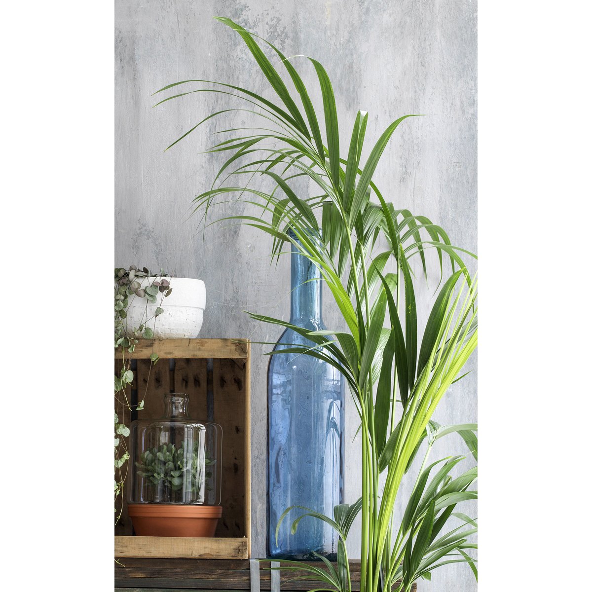 Bouteille décorative H50 cm RIOJA bleu clair, MICA DECORATIONS