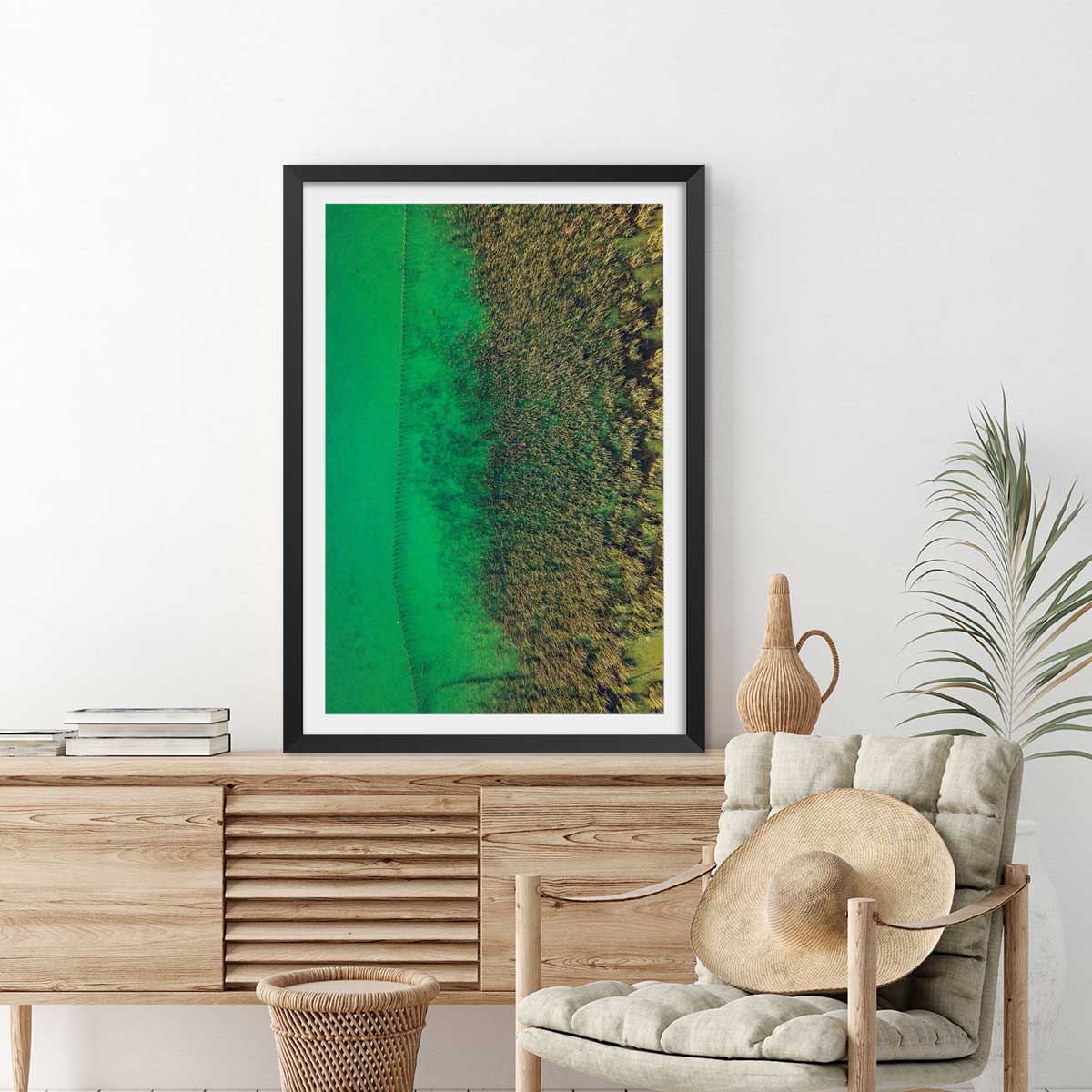 Affiche végétaux et flore aquatique affiche + cadre en bois - noir, HEXOA