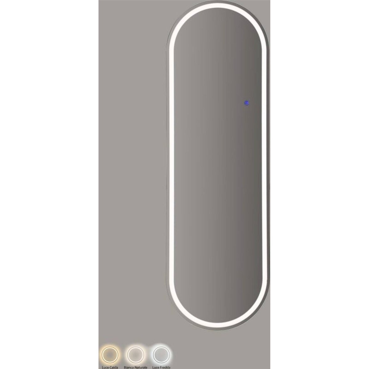 Miroir mural ovale LED cadre aluminium MODERN miroir et beige clair, RECOLLECTION