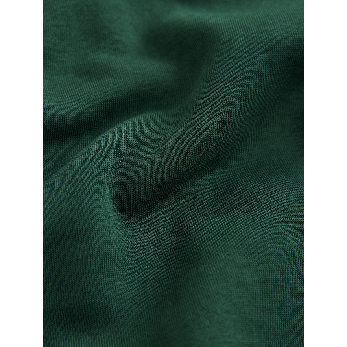 Sweat style polo de rugby à motif snoopy vert foncé, NEXT
