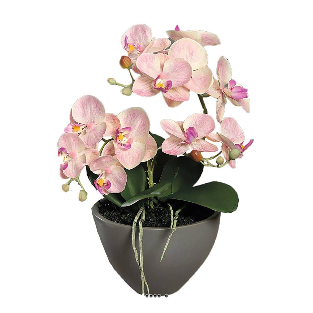 Orchidée phalaenopsis artificielle en coupe rose-crème, ARTIFICIELLES