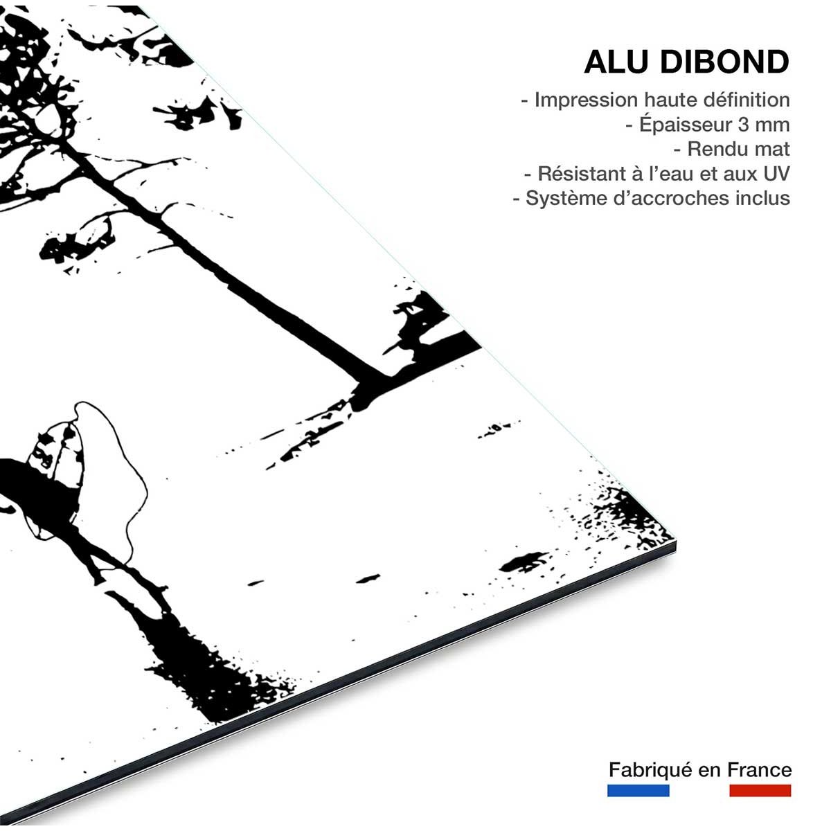 Tableau landes tableau alu dibond, HEXOA