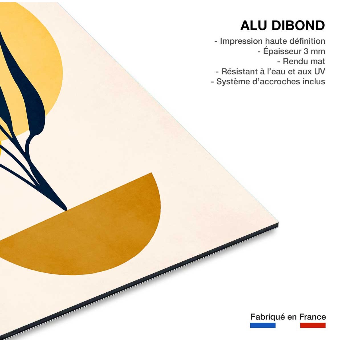 Tableau dessin plante cubique tableau alu dibond, HEXOA