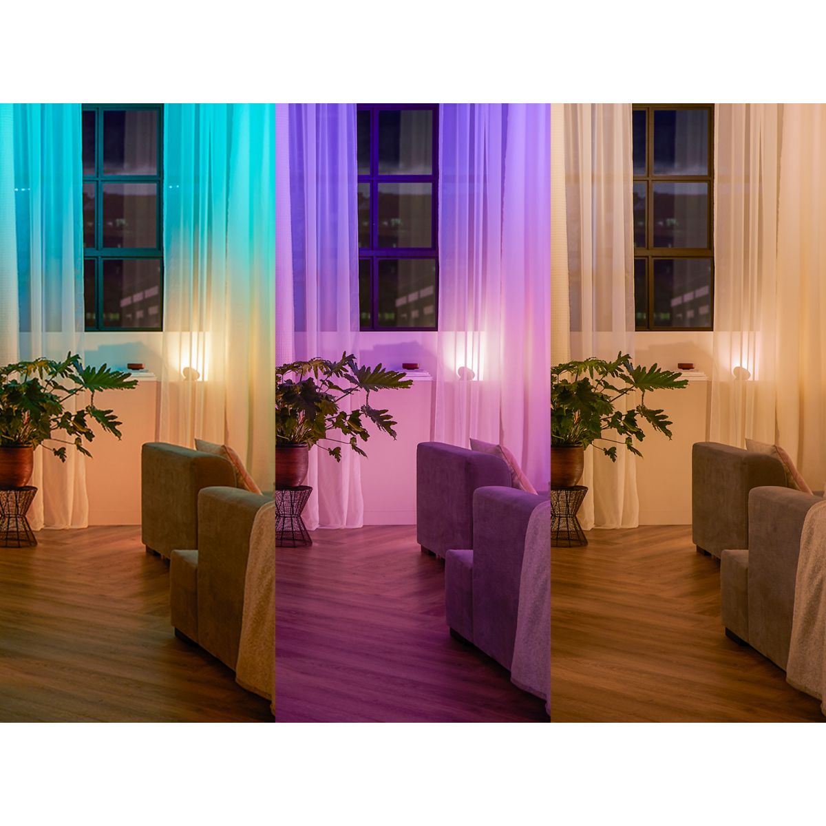 Interrupteur HUE wall switch module x2 blanc, PHILIPS HUE