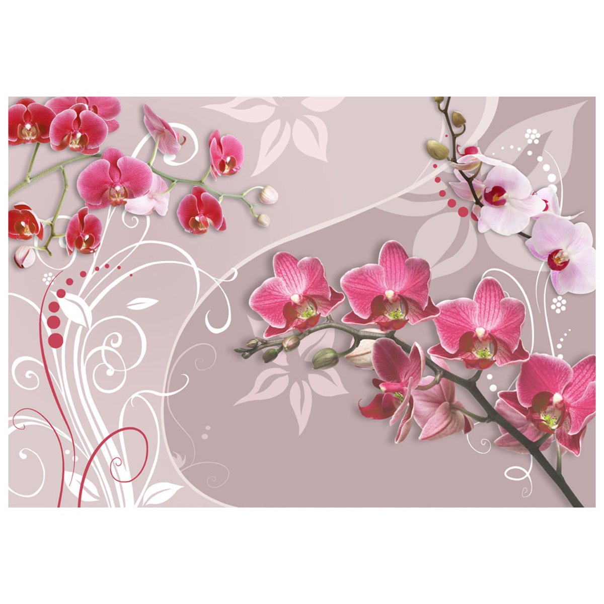 Papier peint intissé panoramique Fleurs Flight of pink orchids violet, EDEN