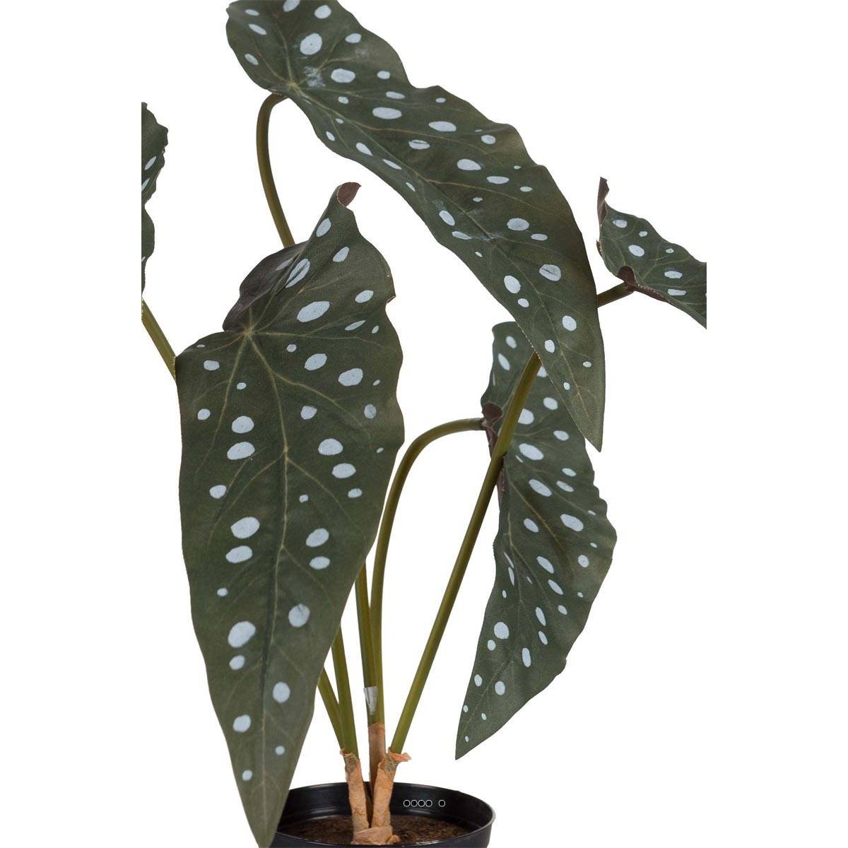 Begonia Maculata factice en pot v002239, ARTIFICIELLES