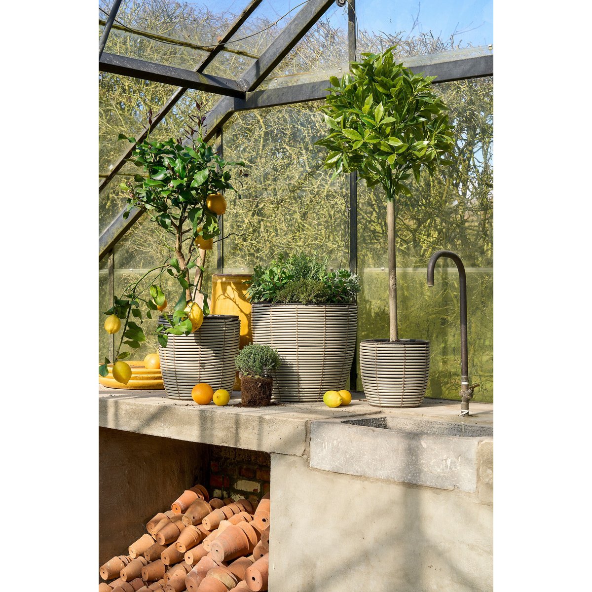 Plante artificielle LAUREL vert, MICA DECORATIONS