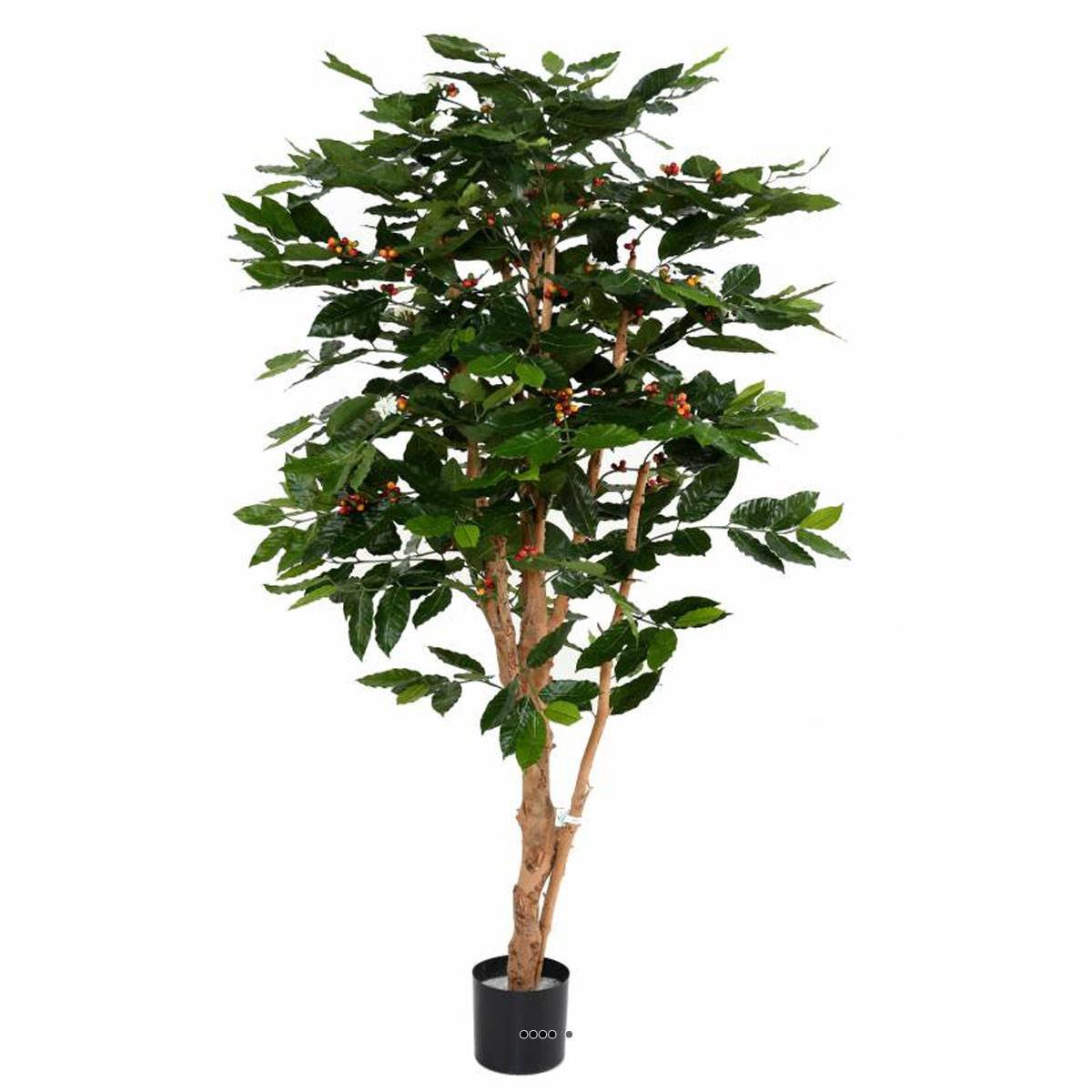Cafeïer artificiel H 175 cm troncs noueux v002234, ARTIFICIELLES