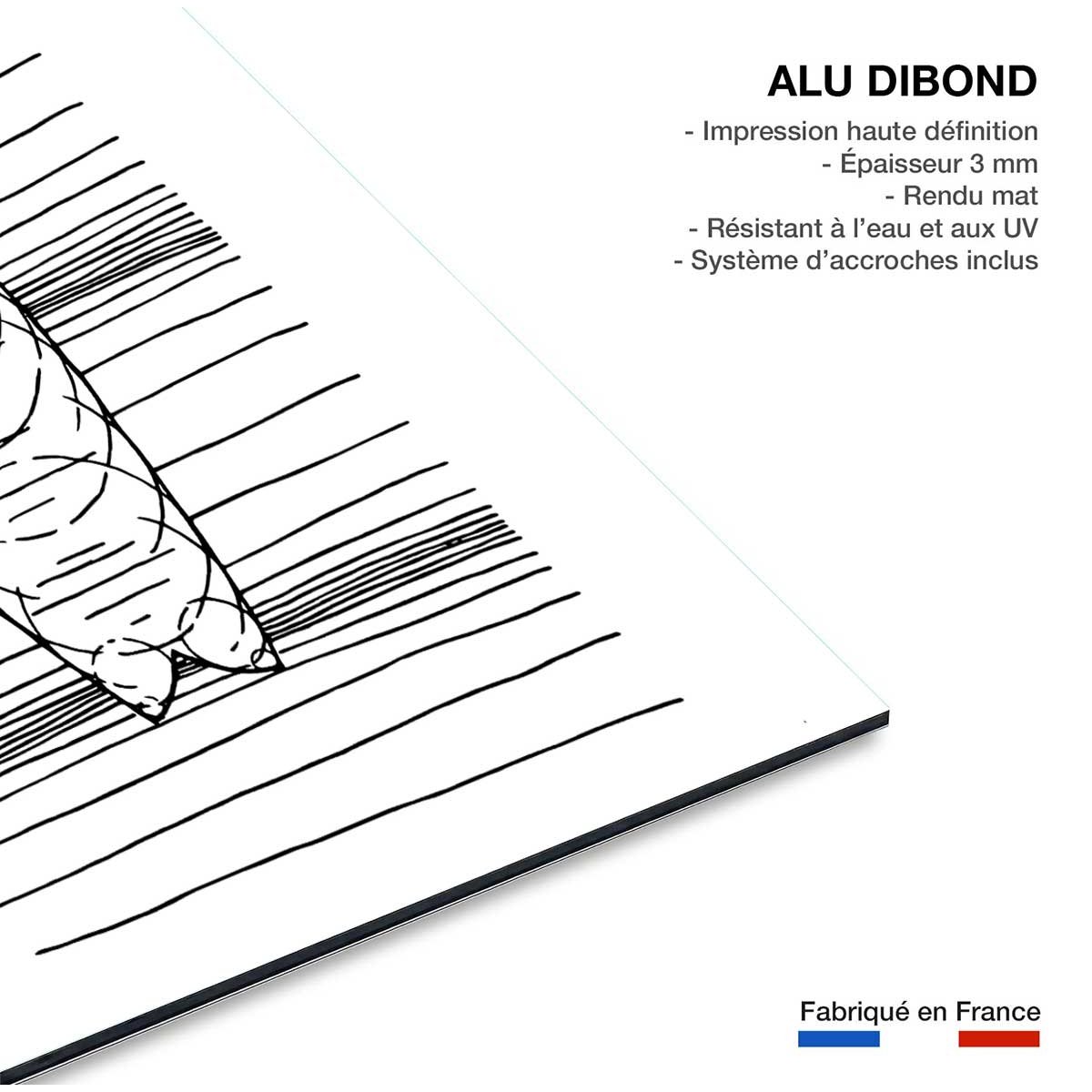 Tableau surf géo tableau alu dibond, HEXOA