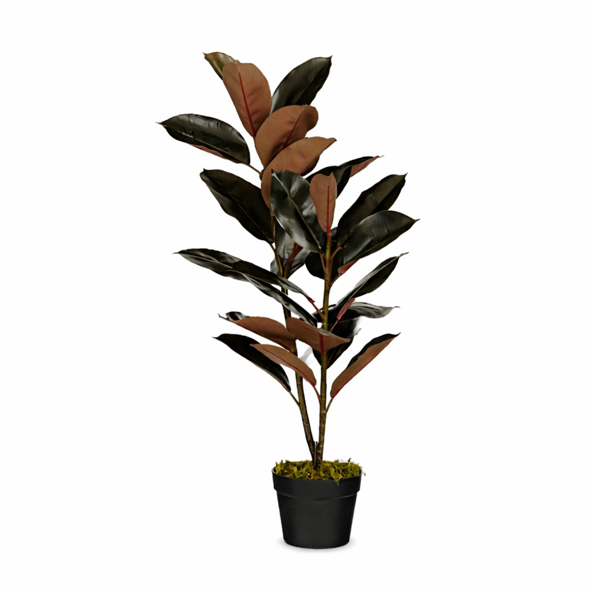 Plante artificielle RUBBERPLANT rouge, MICA DECORATIONS