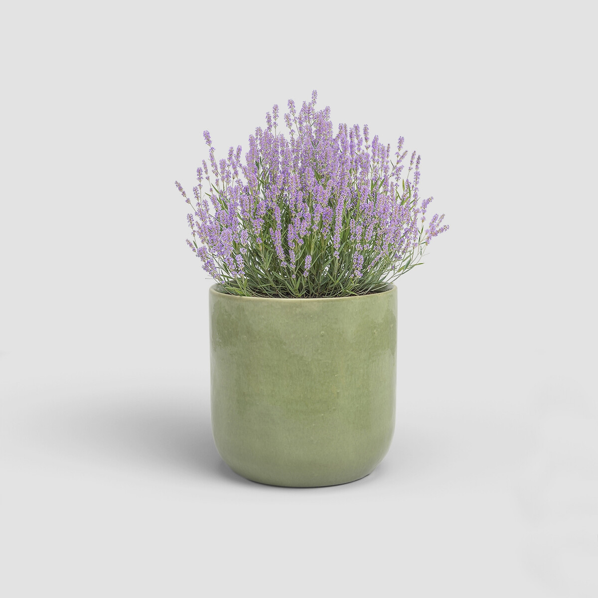 Vaso Júpiter 33, ARTEVASI verde cinza, ARTEVASI