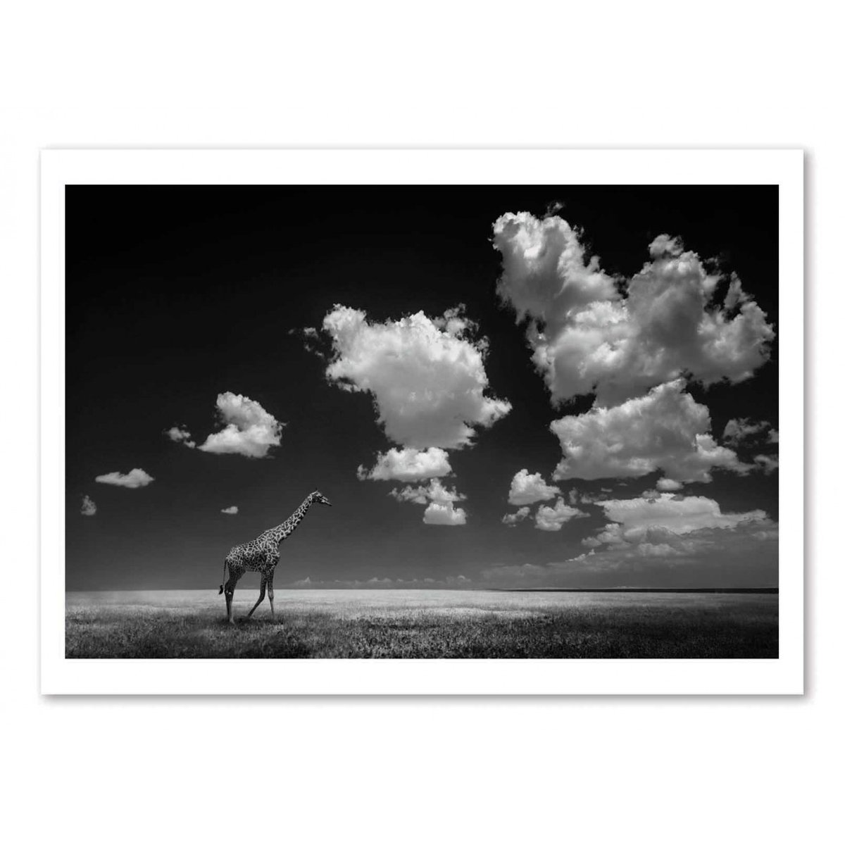 Affiche d'art - Gone with the Clouds - Alberto Ghizzi Panizza affiche d'art, WALL EDITIONS