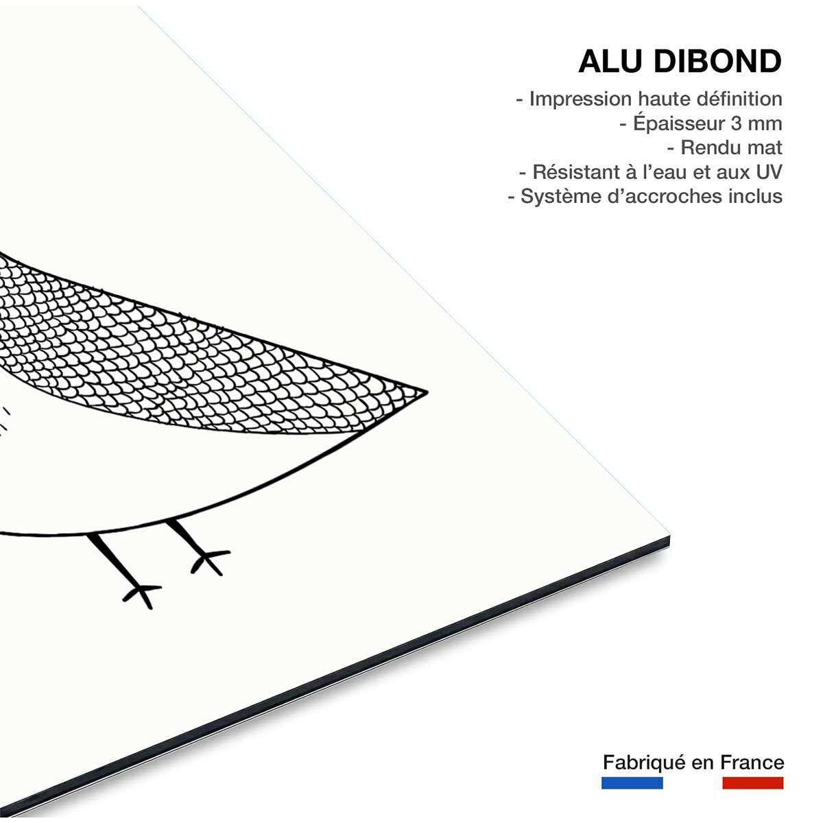 Tableau dessin hibou boo tableau alu dibond, HEXOA