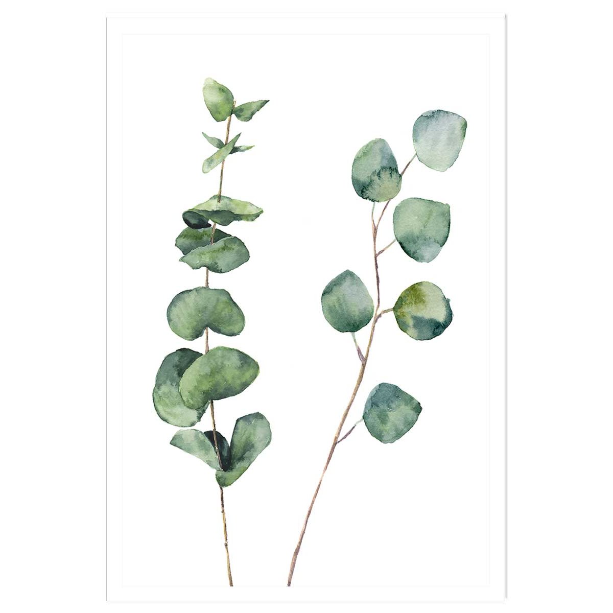 Affiche nature aquarelle feuille d' eucalyptus affiche seule, HEXOA