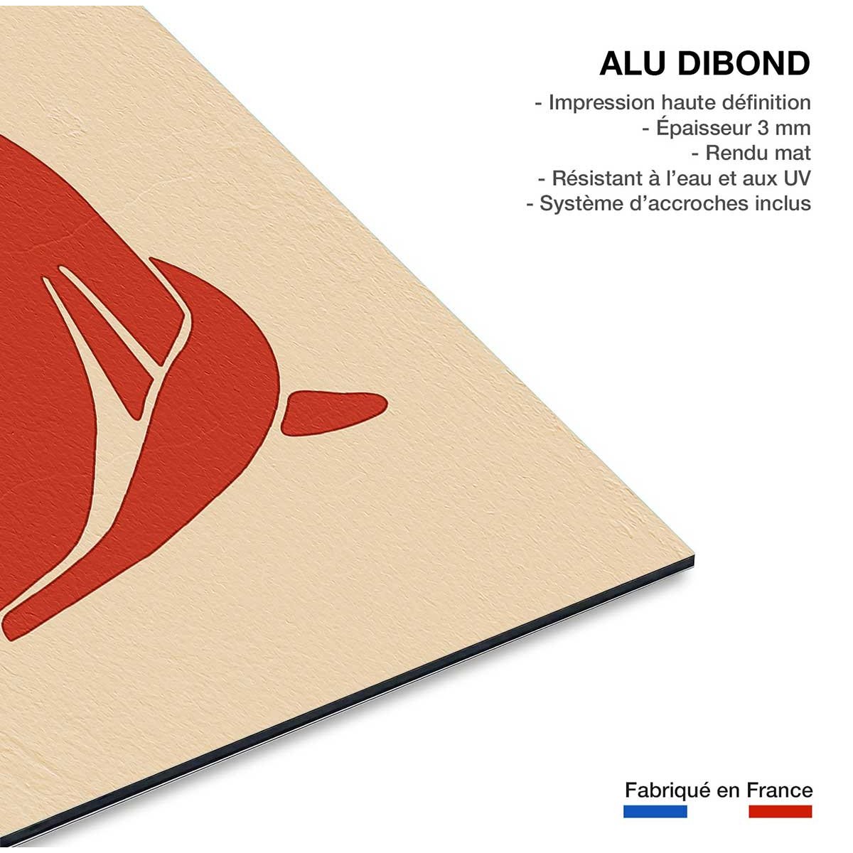 Tableau organique femme rouge tableau alu dibond, HEXOA