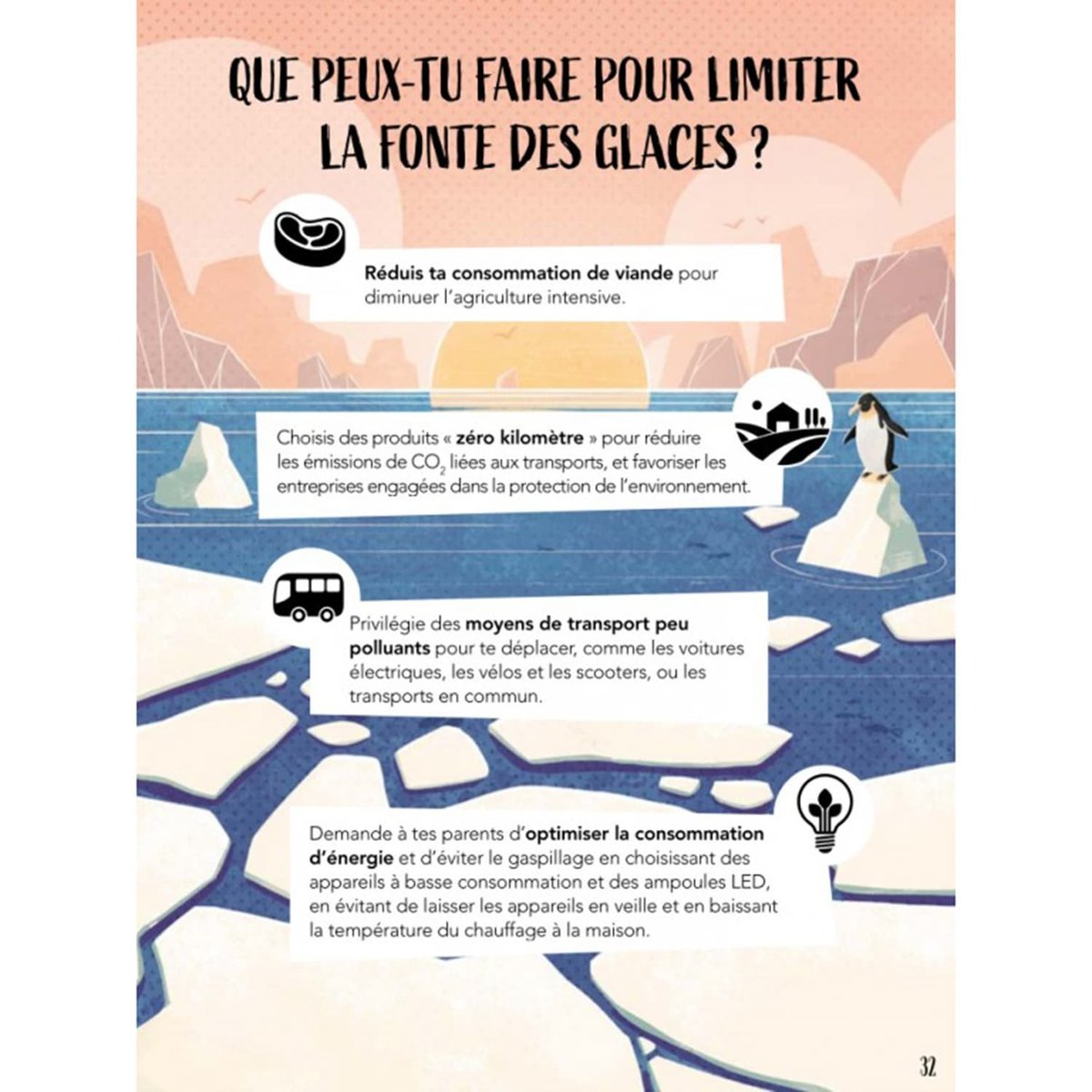 Puzzle & Livre - La Planète en Danger, Les glaces multicolore, SASSI