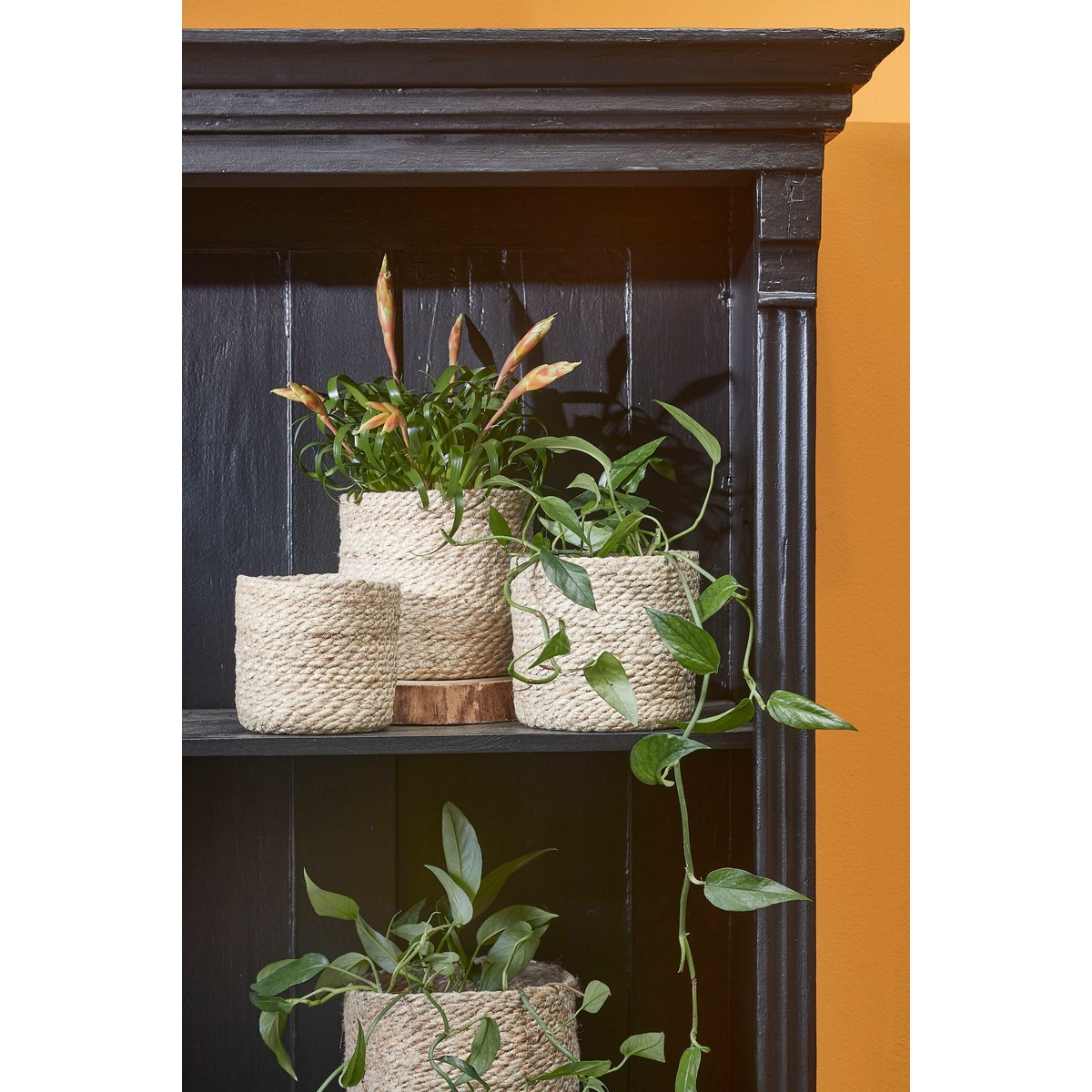 Ensemble de paniers à plantes en jute tressée ATLANTIC crème, MICA DECORATIONS