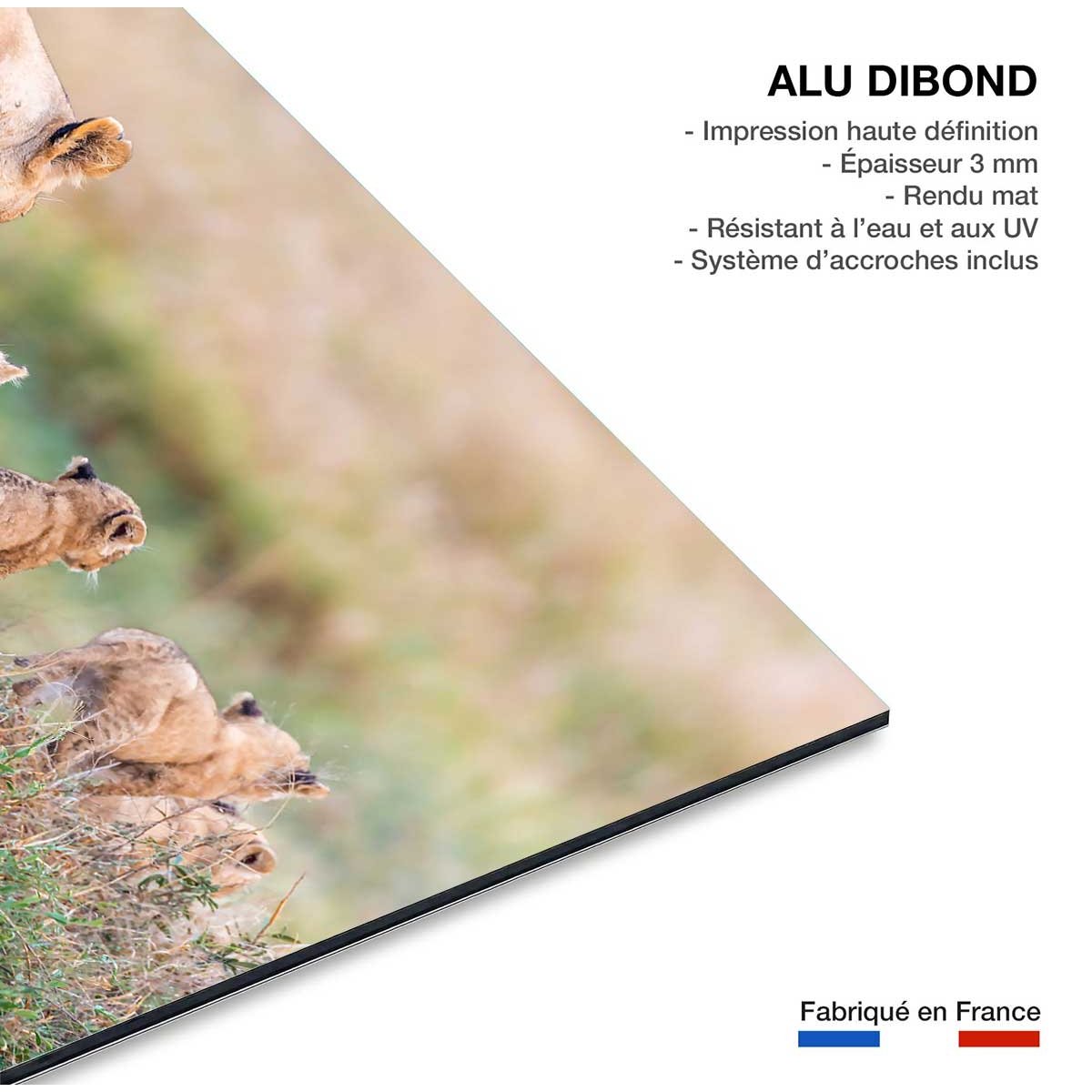 Tableau animaux let's go mom tableau alu dibond, HEXOA