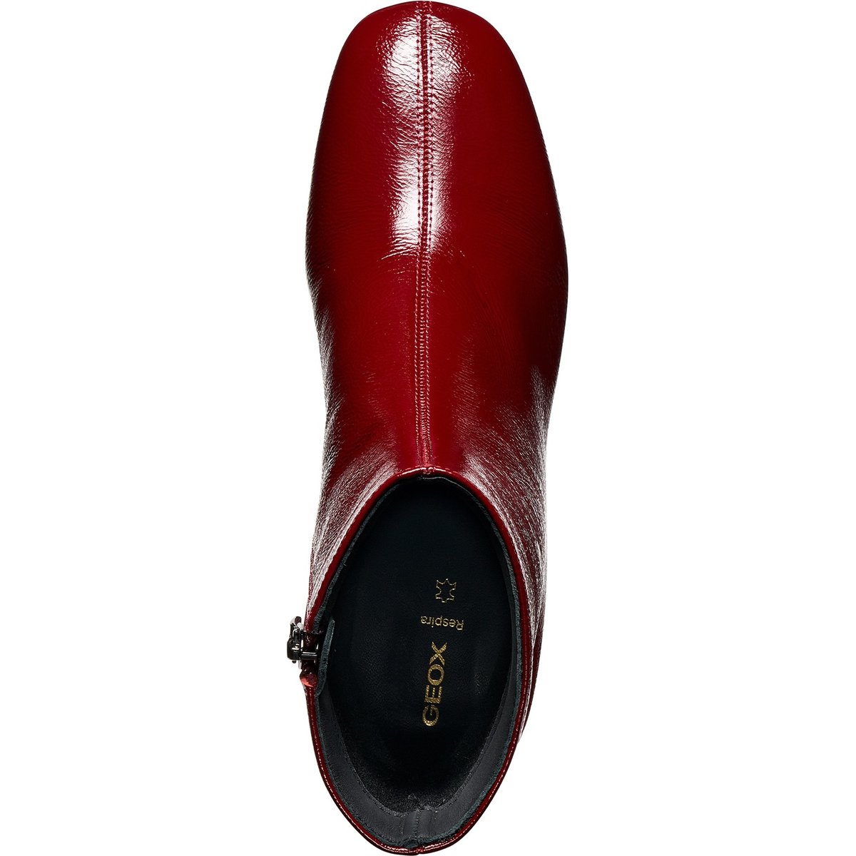 Bottines  D KALIDINE bordeaux foncé, GEOX