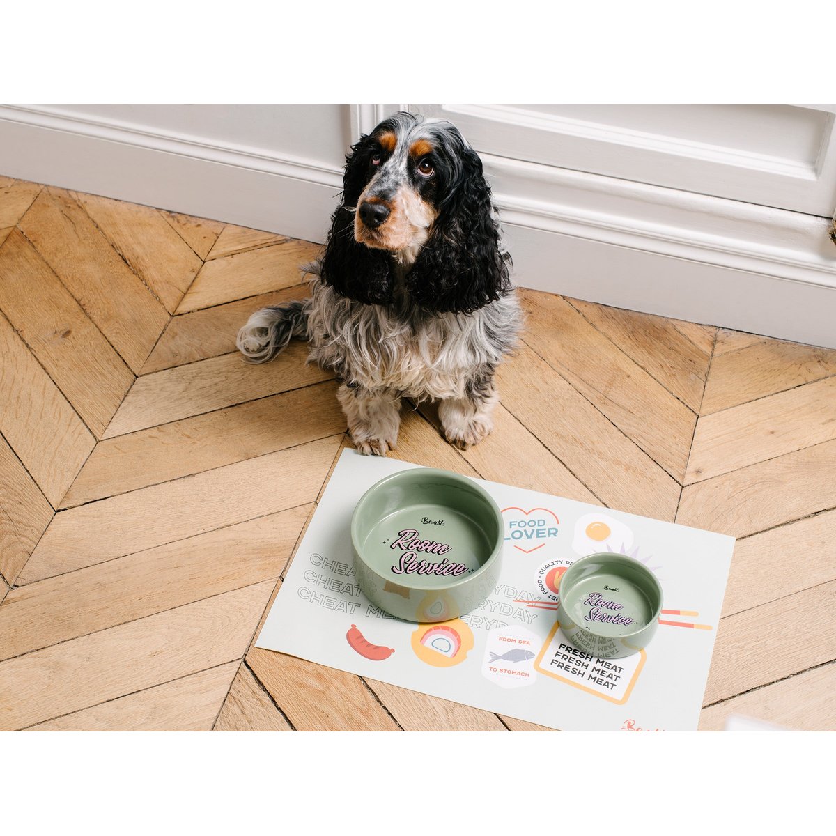 Gamelle Chien et Chat ROOM SERVICE couleur unique, FRENCH BANDIT