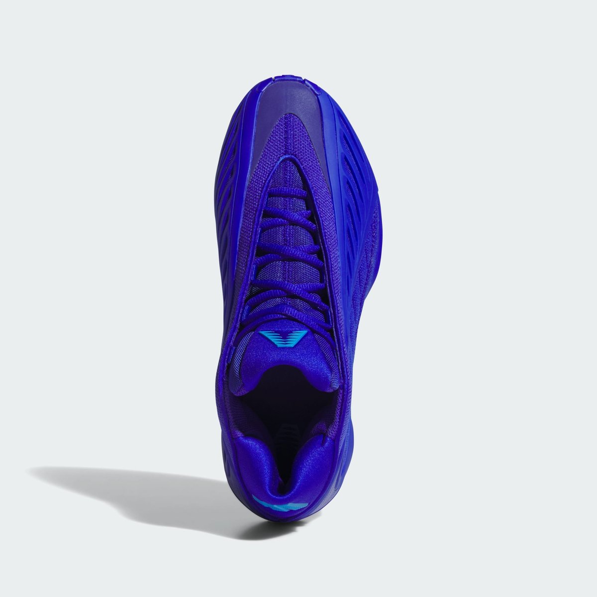 Chaussure Anthony Edwards 2 Chaussure Anthony Edwards 2 lucid blue / lucid ray blue / lucid blue, adidas Performance